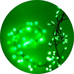 Внутренняя гирлянда Delux FIBER 30LED зеленый (10080855)