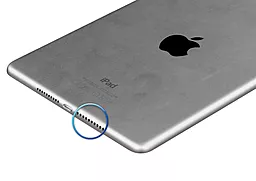 Замена полифонического динамика Apple iPad Air