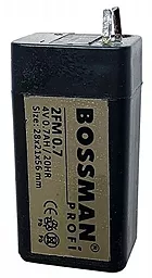 Аккумуляторная батарея Bossman Profi 4V 0.7Ah (2FM0.7)