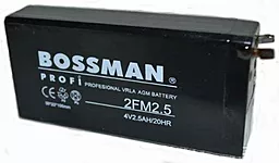 Аккумуляторная батарея Bossman Profi 4V 2.5Ah (2FM2.5) - миниатюра 2