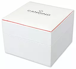 Наручний годинник Candino C4516/1 - мініатюра 3