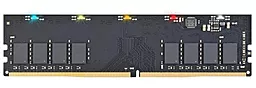 Оперативная память Exceleram DDR4 8GB 2666MHz RGB X1 Series (ERX1408269A)