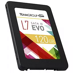 Накопичувач SSD Team L7 Evo 120 GB (T253L7120GTC101) - мініатюра 2