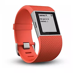 Смарт-часы Fitbit Surge Small Red (FB501TAS) - миниатюра 5