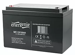 Аккумуляторная батарея Energenie 12V 100Ah (BAT-12V100AH)