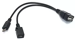 OTG-переходник с дополнительным питанием Micro USB 2 в 1