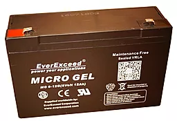 Аккумуляторная батарея EverExceed 12V 12Ah (MG 12-12G)