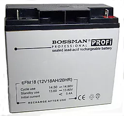 Аккумуляторная батарея Bossman Profi 12V 18Ah (6FM18) - миниатюра 2