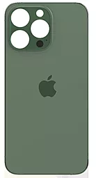 Задняя крышка корпуса Apple iPhone 13 Pro Max (big hole) Alpine Green