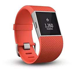 Смарт-часы Fitbit Surge Small Red (FB501TAS) - миниатюра 3