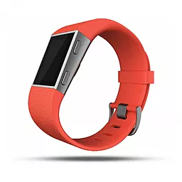 Смарт-часы Fitbit Surge Small Red (FB501TAS) - миниатюра 2