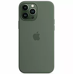 Чохол Apple Silicone Case Full with MagSafe and SplashScreen для Apple iPhone 13 Pro Max  Eucalyptus