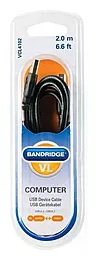 Кабель (шлейф) Bandridge ValueLine VCL4102 USB 2.0 2m - миниатюра 2