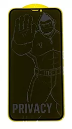 Защитное стекло Type Gorilla Silk Full Cover Anti-Peep Glass Apple iPhone XR, iPhone 11 Black (09142)