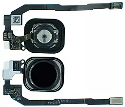 Зовнішня кнопка Home Apple iPhone 5S / iPhone SE зі шлейфом Original Black