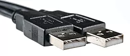 Шлейф (Кабель) PowerPlant USB 2.0 AM– AM, 0.5м