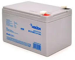 Акумуляторна батарея Merlion 12V 12Ah (GP12120F2) - мініатюра 2 Акумуляторна батарея Merlion 12V 12Ah (GP12120F2) - мініатюра 2