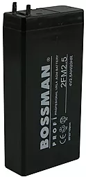 Акумуляторна батарея Bossman Profi 4V 2.5Ah (2FM2.5)