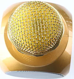 Беспроводной микрофон для караоке Wester 1816 Gold - миниатюра 5