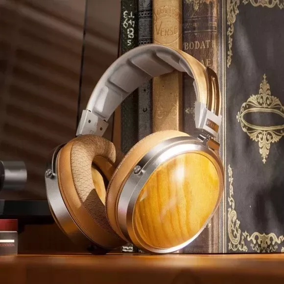 Наушники FiiO FT1 Beech Silver - фото 3