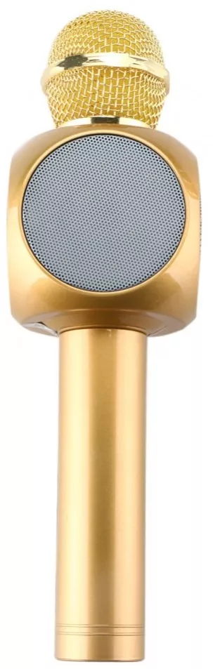Беспроводной микрофон для караоке Wester 1816 Gold - фото 2
