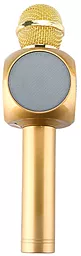 Беспроводной микрофон для караоке Wester 1816 Gold - миниатюра 2