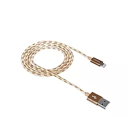 Кабель Canyon USB-A - Lightning 12w 2.4a 1м cable Gold (CNE-CFI3GO) - фото Кабель Canyon USB-A - Lightning 12w 2.4a 1м cable Gold (CNE-CFI3GO)
