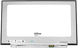 Матрица для ноутбука ChiMei InnoLux N173HCE-E3C