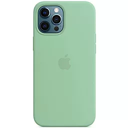 Чехол Silicone Case Full для Apple iPhone 12 Pro Max Mint