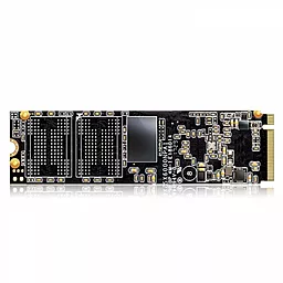 SSD Накопитель ADATA XPG SX6000 1 TB M.2 2280 (ASX6000NP-1TT-C) - фото SSD Накопитель ADATA XPG SX6000 1 TB M.2 2280 (ASX6000NP-1TT-C)
