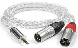 Аудио кабель iFi Balanced 4.4mm - 2xXLR M/M cable 1 м silver - фото Аудио кабель iFi Balanced 4.4mm - 2xXLR M/M cable 1 м silver
