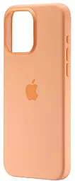 Чехол Apple Silicone Case Full with MagSafe and SplashScreen для Apple iPhone 15 Pro Max Orange Sorbet
