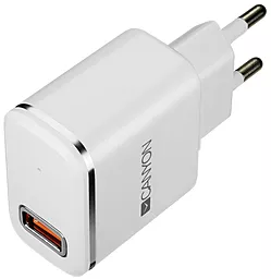 Сетевое зарядное устройство Canyon 2.1a home charger + Lightning cable white/silver (CNE-CHA043WS)