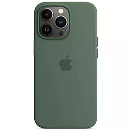 Чохол Apple Silicone Case Full with MagSafe and SplashScreen для Apple iPhone 13 Pro Eucalyptus
