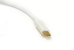 Відео перехідник (адаптер) PowerPlant USB Type C - DVI, 15cm (DV00DV4063) - мініатюра 2