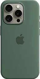 Чехол Silicone Case Full with MagSafe and SplashScreen для Apple iPhone 13 Pro Max Eucalyptus - фото Чехол Silicone Case Full with MagSafe and SplashScreen для Apple iPhone 13 Pro Max Eucalyptus