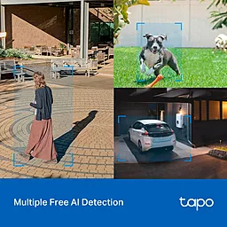 Камера видеонаблюдения TP-Link TAPO C520WS - миниатюра 4