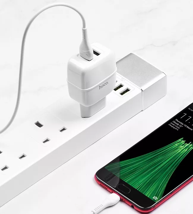 Сетевое зарядное устройство Hoco C77A 2.4a 2xUSB-A ports charger + micro USB cable white - фото 4