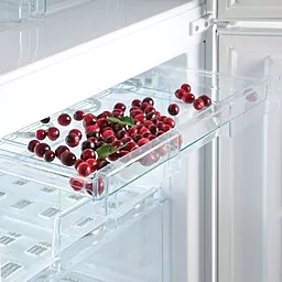 Холодильник с морозильной камерой Snaige RF53SM-S5RB2F - миниатюра 4