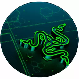 Коврик Voltronic Razer 220x220 10 (RRZ10) - фото Коврик Voltronic Razer 220x220 10 (RRZ10)