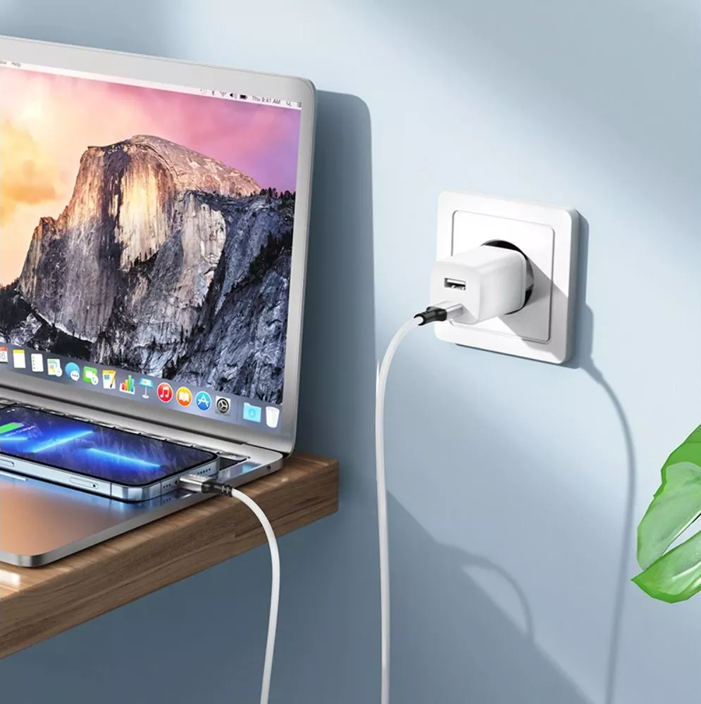 Кабель Borofone BX83 Famous USB Type-C - Lightning 20w 3a 1м PD сable White - фото 4