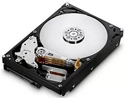 Жесткий диск Hitachi 250GB CinemaStar 7K500 7200rpm 8MB (HCS725025VLAT80_)