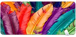 Коврик Voltronic Bird Feathers 800x400 (S23483) - фото Коврик Voltronic Bird Feathers 800x400 (S23483)