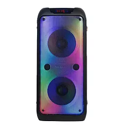 Колонки акустичні NICHOSI TTD-2810 Black - фото Колонки акустичні NICHOSI TTD-2810 Black