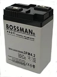 Акумуляторна батарея Bossman Profi 6V 4.2Ah (3FM4.2)