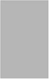 Универсальная поляризационная пленка для дисплеев, 10", 218 x 166 мм