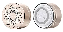 Колонки акустичні Hoco BS5 Swirl Gold - фото Колонки акустичні Hoco BS5 Swirl Gold