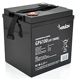 Акумуляторна батарея Merlion 6V 100Ah AGM (GP6100)