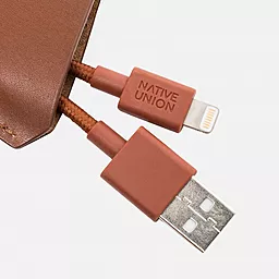 USB Кабель Native Union TAG Cable Lightning Tan (TAG-L-TAN) - мініатюра 3