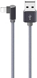 Кабель Borofone BX26 Express USB-A - Lightning 12w 2.4a 1м cable Gray - фото Кабель Borofone BX26 Express USB-A - Lightning 12w 2.4a 1м cable Gray